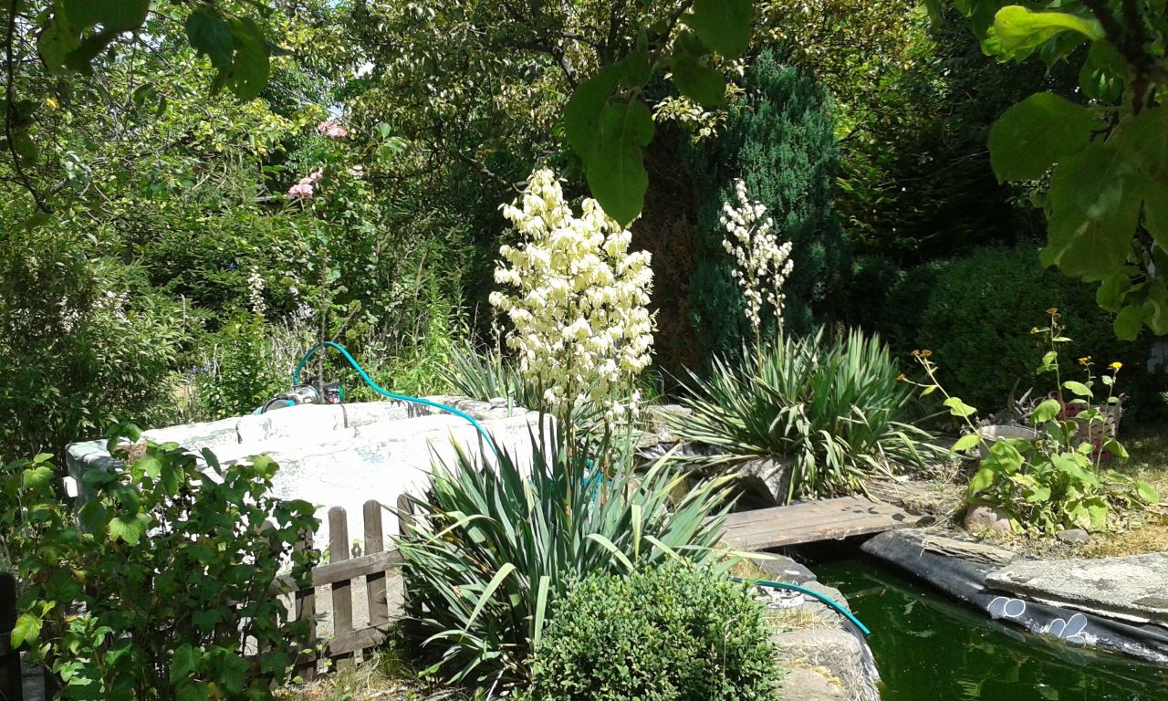 Działka rod Legnica, ul. Chojnowska. Zdjęcie 10