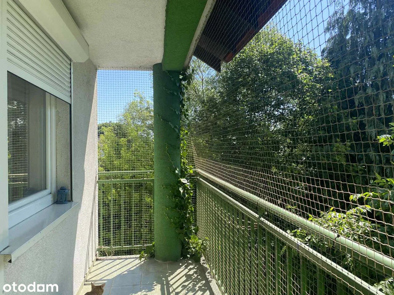 Mieszkanie 3-pokojowe Poznań Naramowice, ul. Koprowa. Zdjęcie 7