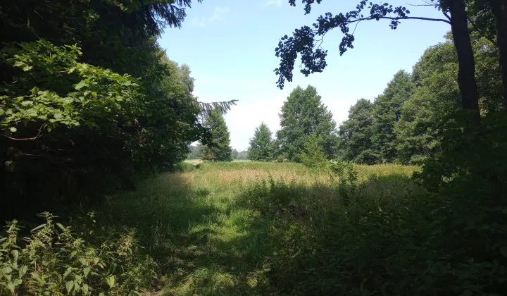 Działka rolna Zdory