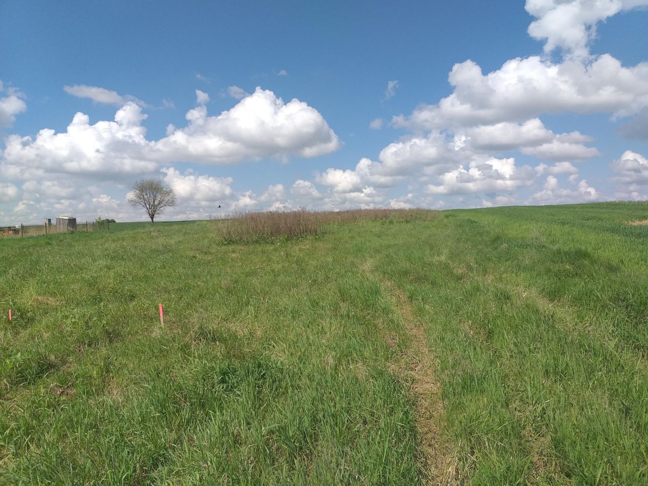 Działka budowlana Osmolice Pierwsze. Zdjęcie 2