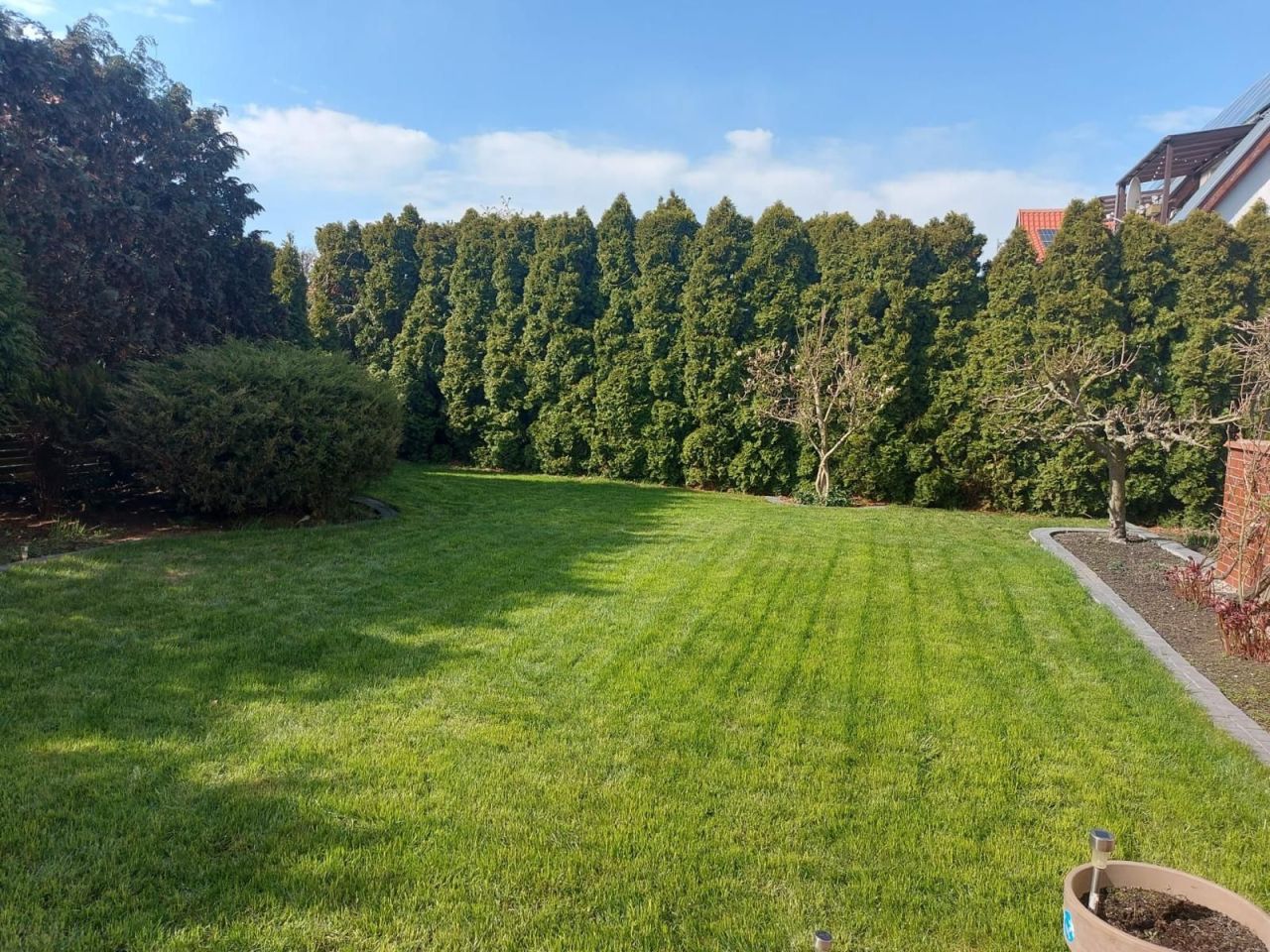 dom wolnostojący, 5 pokoi Chojna. Zdjęcie 5