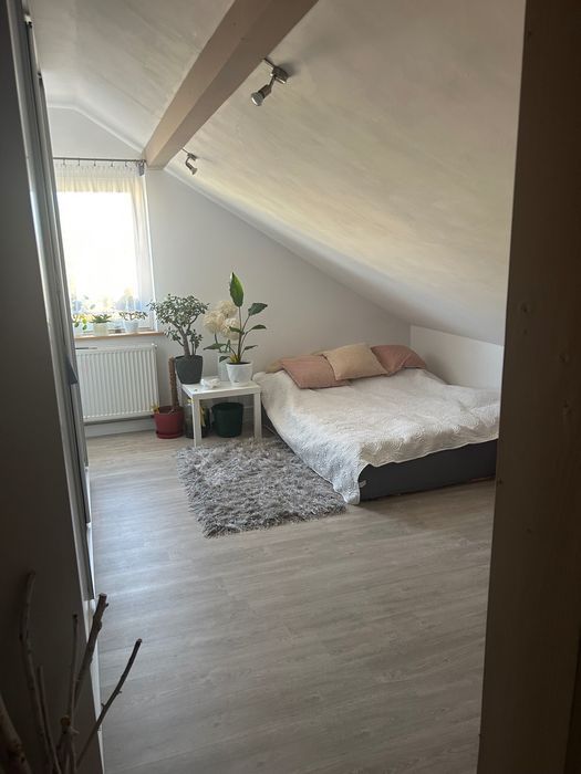 Mieszkanie 2-pokojowe Ciechanów, ul. Henryka Sienkiewicza. Zdjęcie 5