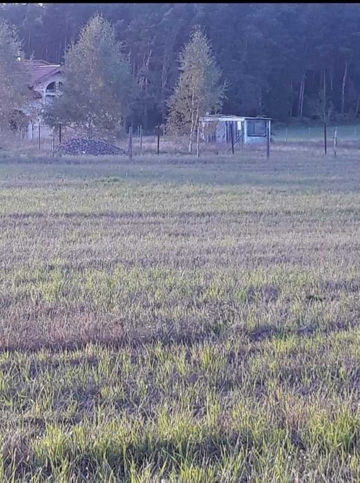 Działka budowlana Wolwark Laski. Zdjęcie 4