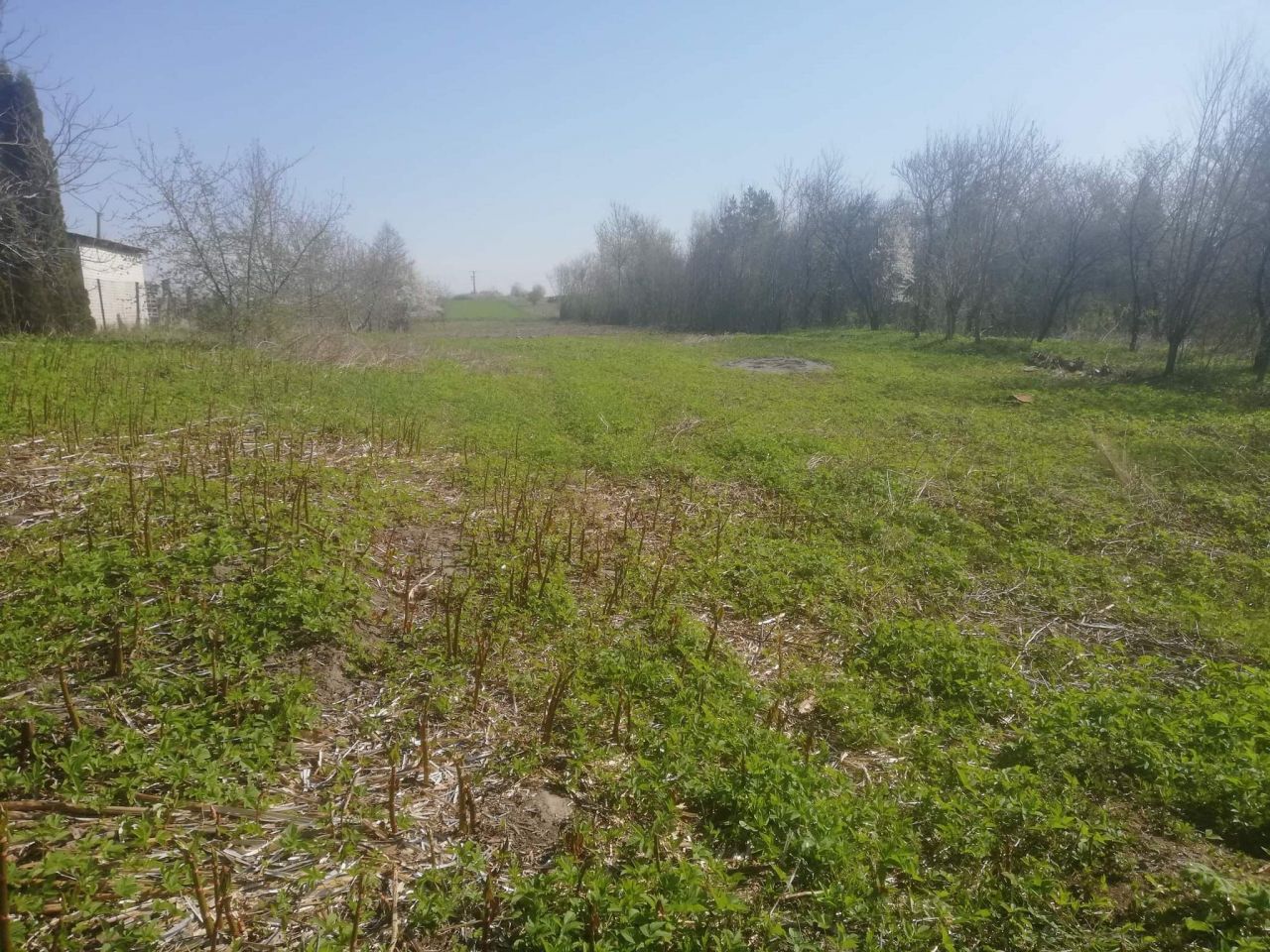 Działka budowlana Józefin. Zdjęcie 2