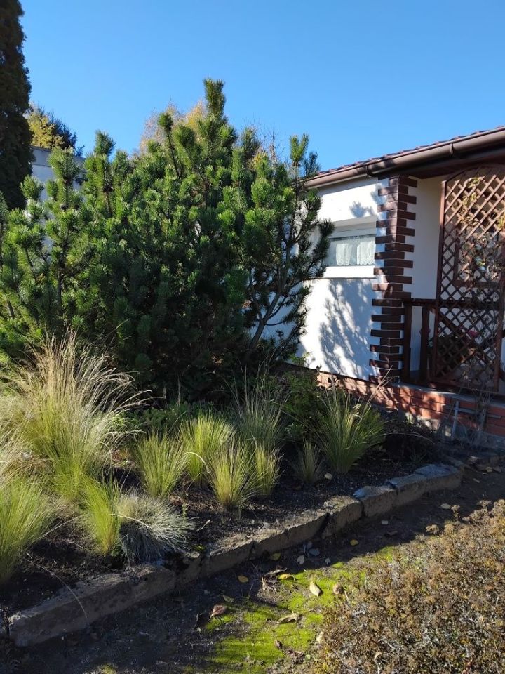 Działka rod Gniezno. Zdjęcie 4