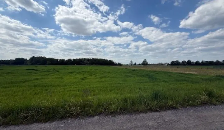 Działka budowlana Cholewy