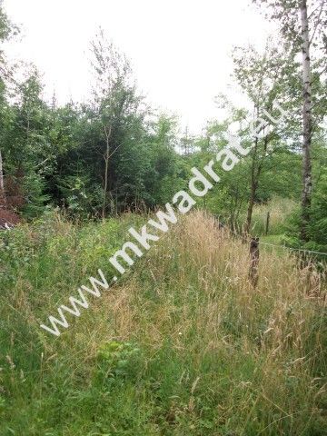 Działka rolna Grzegorzewice, ul. Tarczyńska. Zdjęcie 3