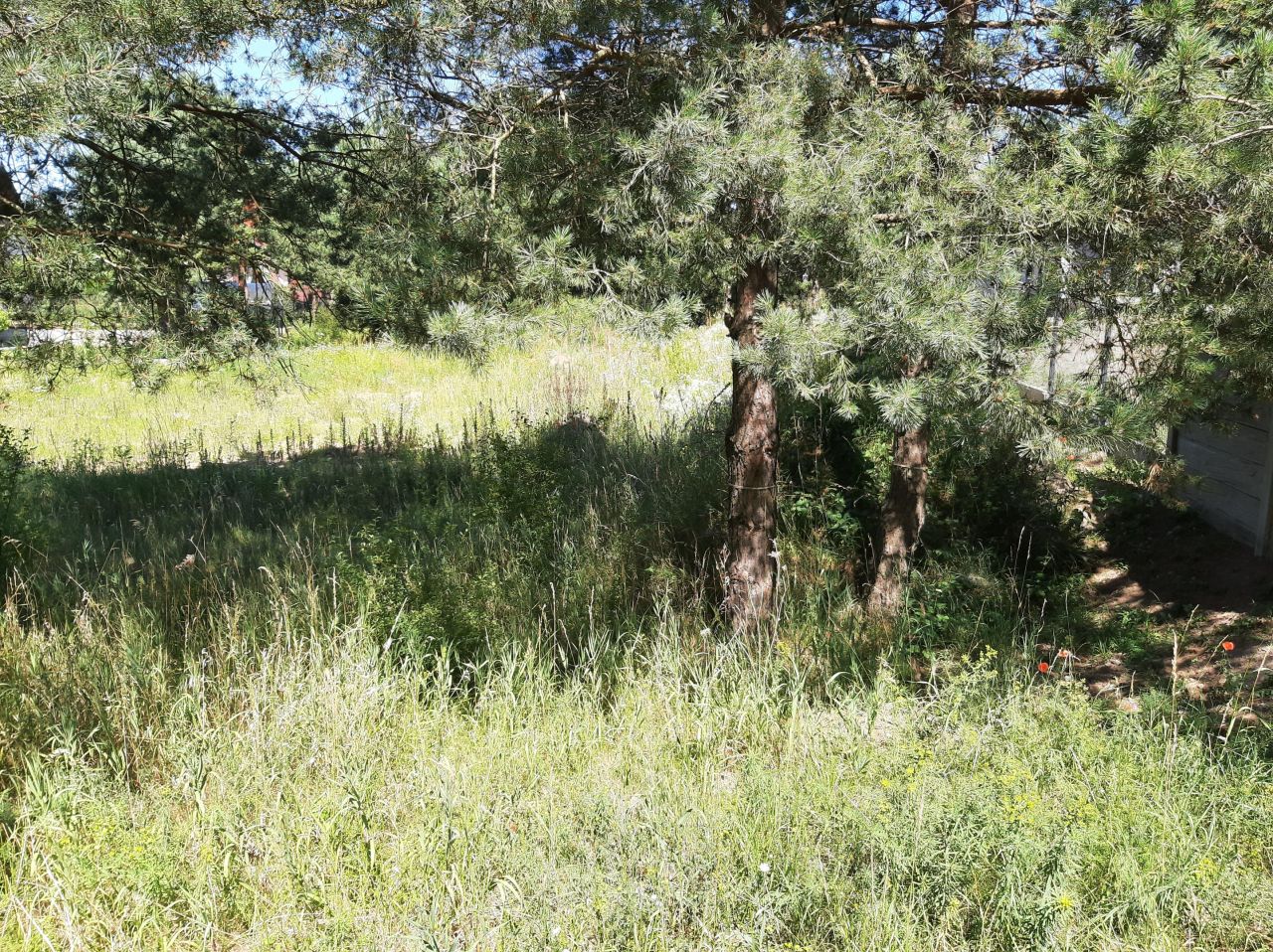 Działka rolno-budowlana Ełk Szyba, ul. Baranki. Zdjęcie 7