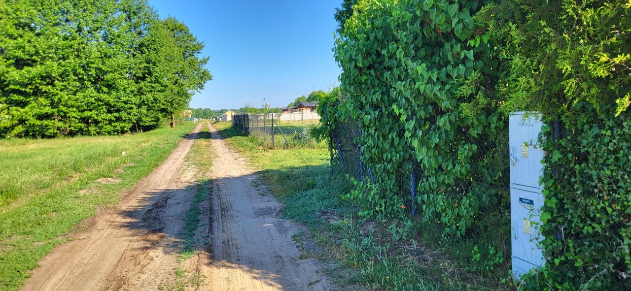 Działka rolno-budowlana Wilków. Zdjęcie 2
