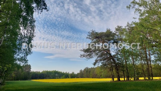 Działka inwestycyjna Grzmiąca. Zdjęcie 1