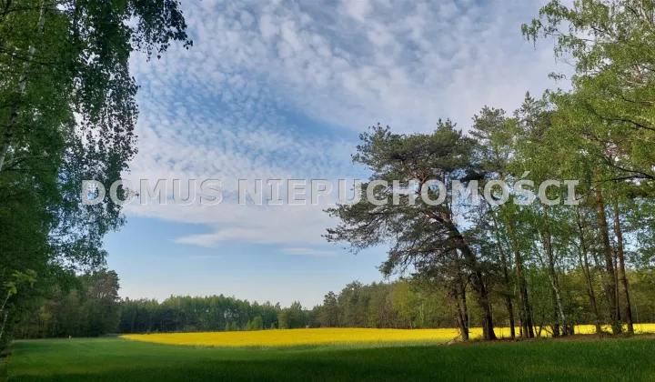 Działka inwestycyjna Grzmiąca