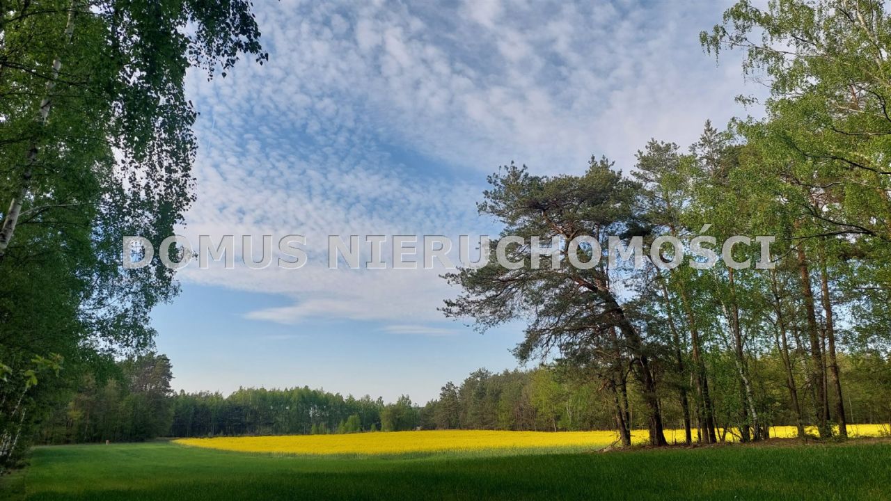 Działka inwestycyjna Grzmiąca. Zdjęcie 1
