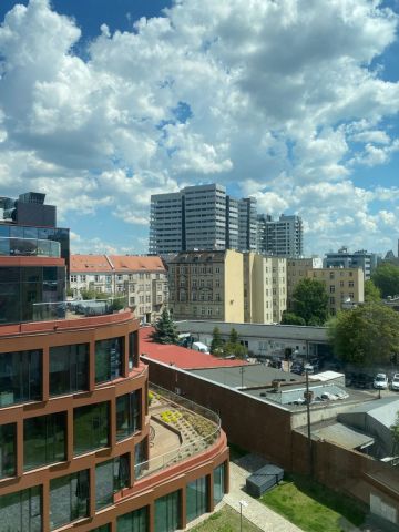 Lokal Wrocław Stare Miasto, pl. Jana Pawła II. Zdjęcie 8