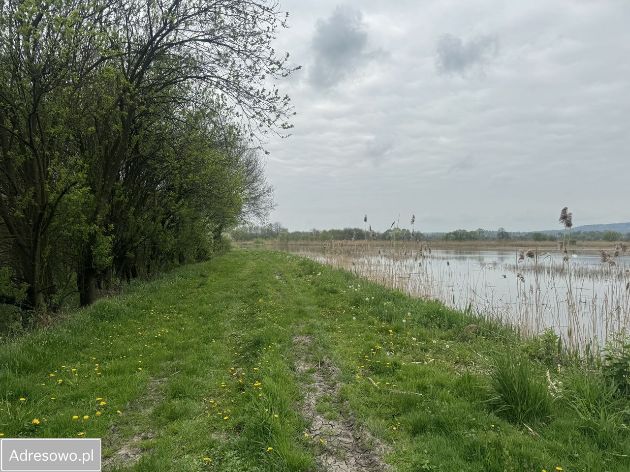 Działka rolna Brzeźnica, ul. Wiślana