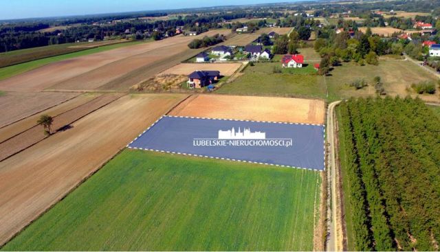 Działka budowlana Motycz. Zdjęcie 2