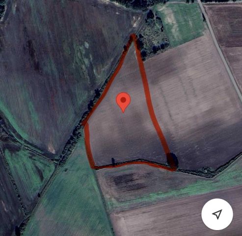 Działka inwestycyjna Niemstów. Zdjęcie 1