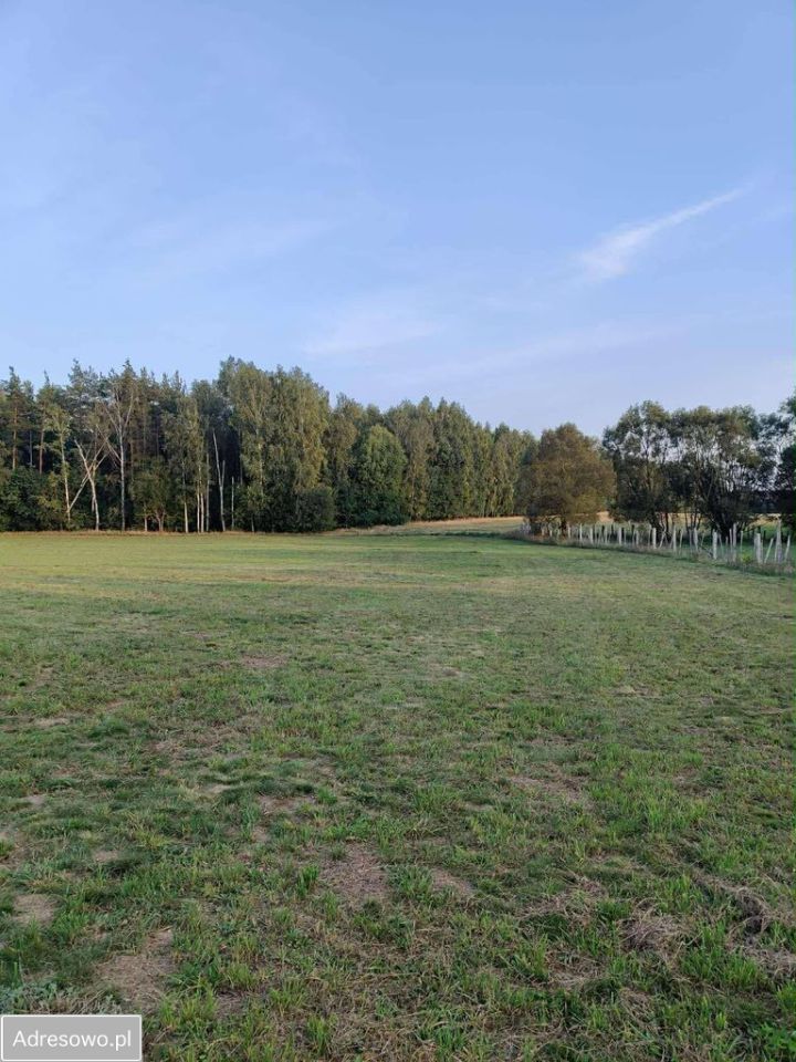 Działka budowlana Komorniki. Zdjęcie 8