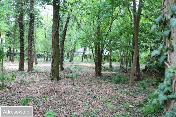 Działka budowlana Podkowa Leśna, ul. Wiewiórek. Zdjęcie 15