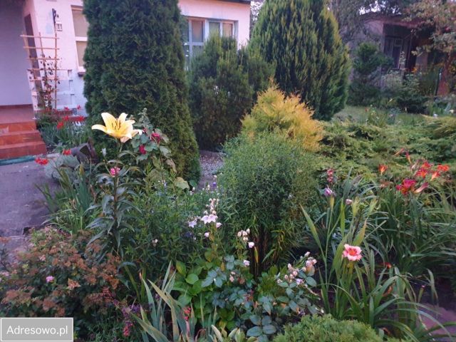 Działka rod Poznań Nowe Miasto, ul. Sypniewo. Zdjęcie 1