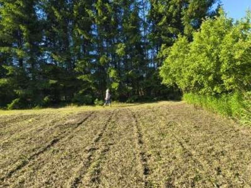 Działka budowlana Borzęcin Duży Borki, ul. Relaksowa. Zdjęcie 8