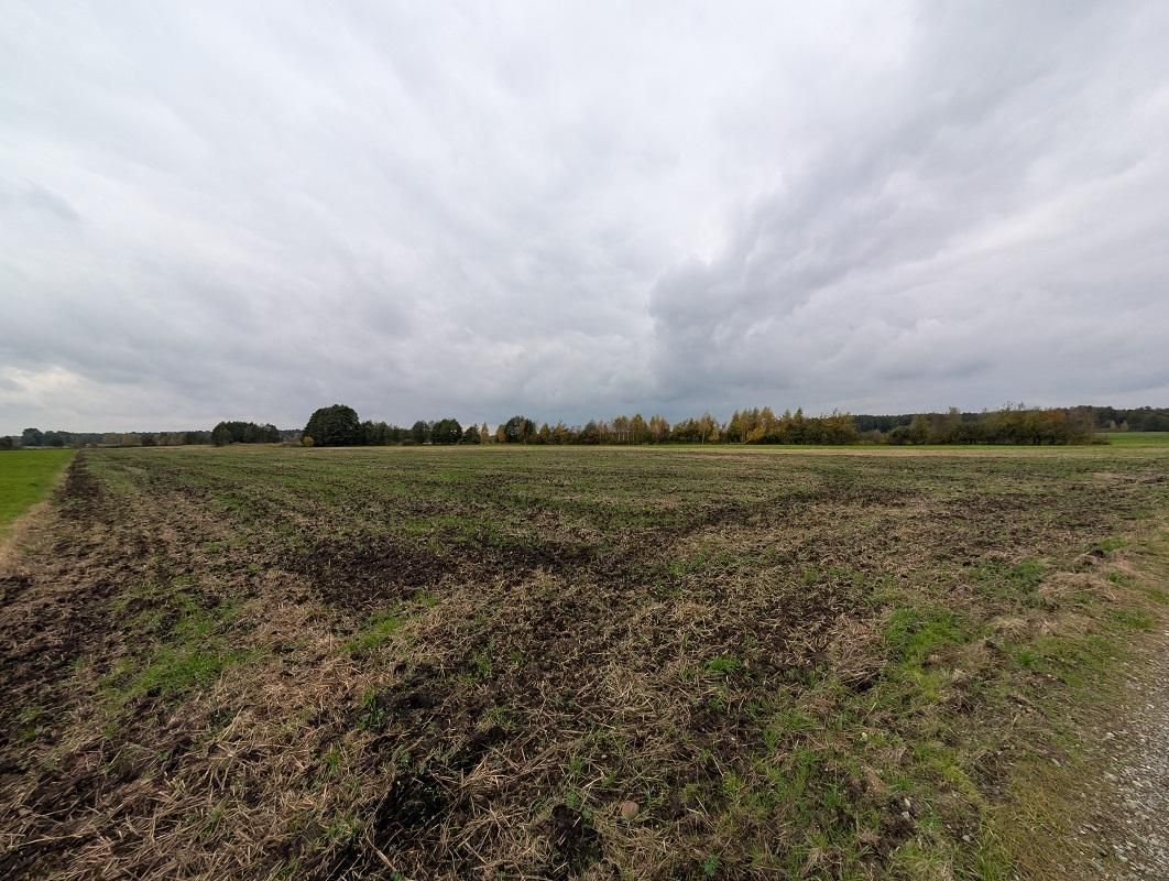 Działka rolna Strzałków. Zdjęcie 4