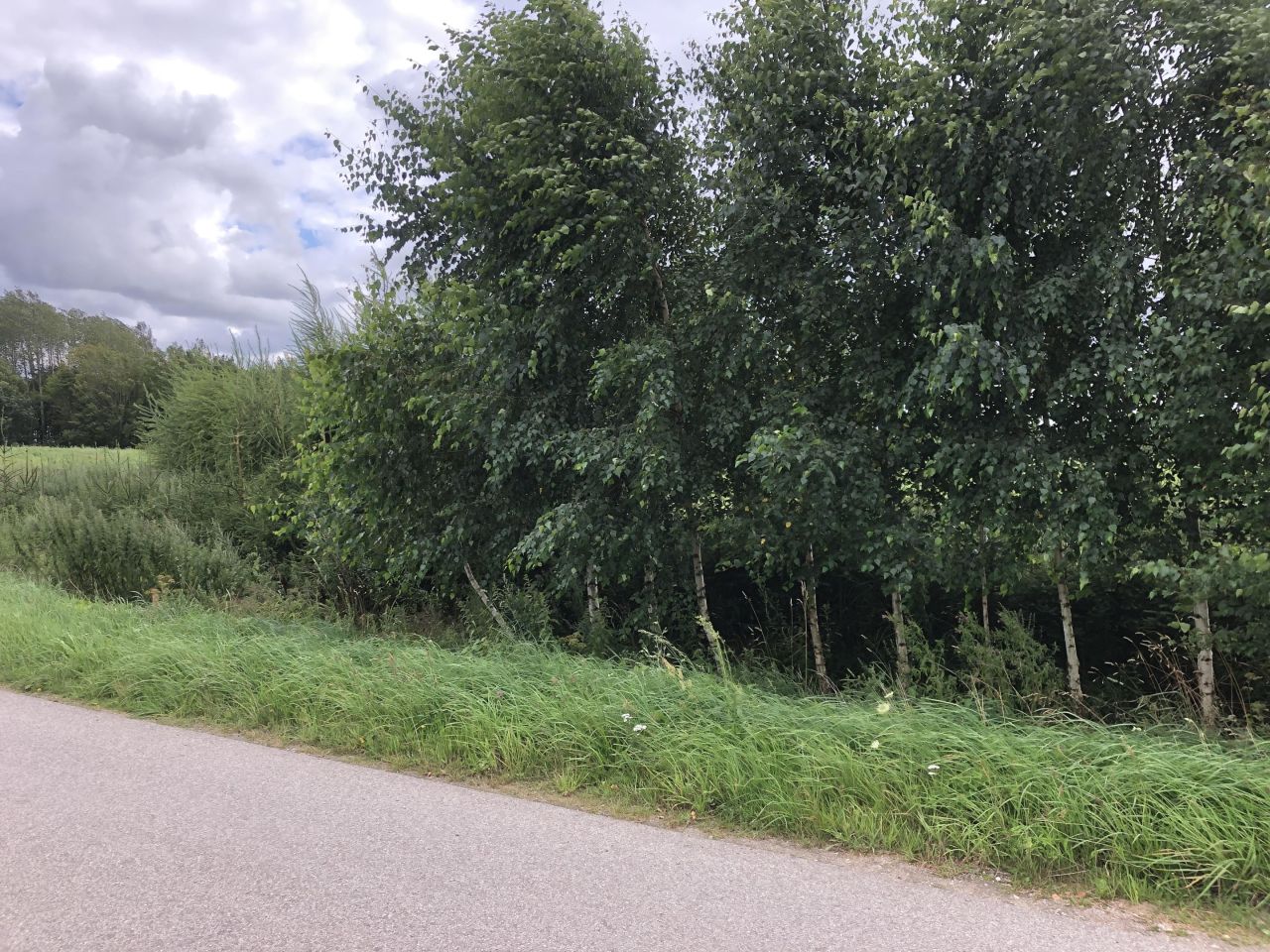Działka budowlana Nowa Dębszczyzna Jemielistka Linia. Zdjęcie 35