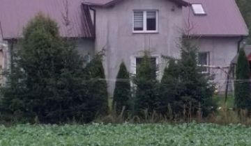 gospodarstwo Linowo