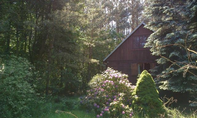 Działka rekreacyjna Nowe Załubice. Zdjęcie 1