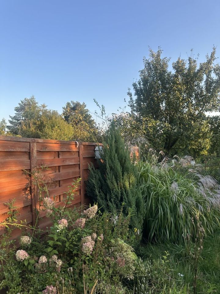 Działka rod Bytom. Zdjęcie 3