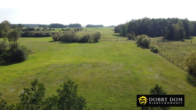 Działka budowlana Guty Rożyńskie. Zdjęcie 15