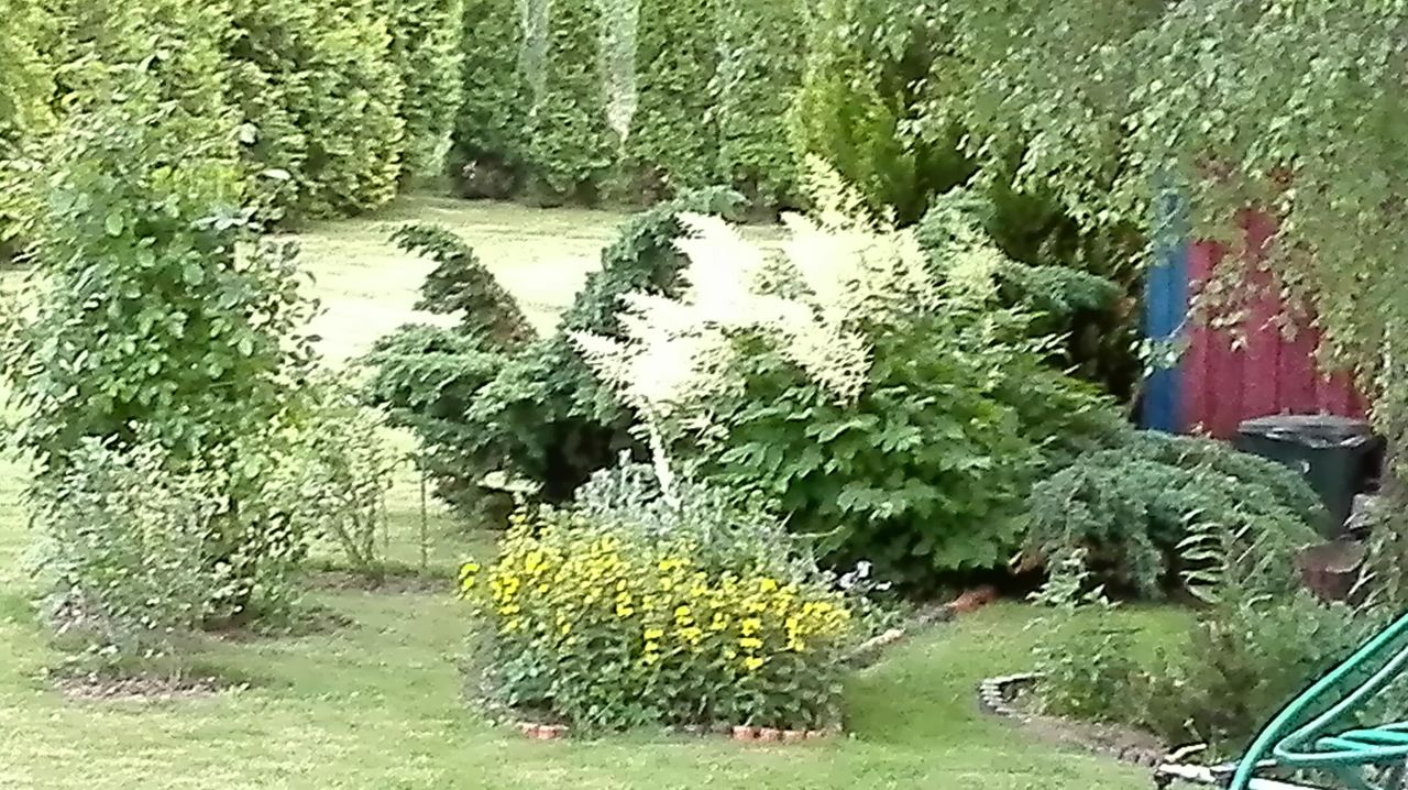 Działka budowlana Podjazy Amalka. Zdjęcie 6