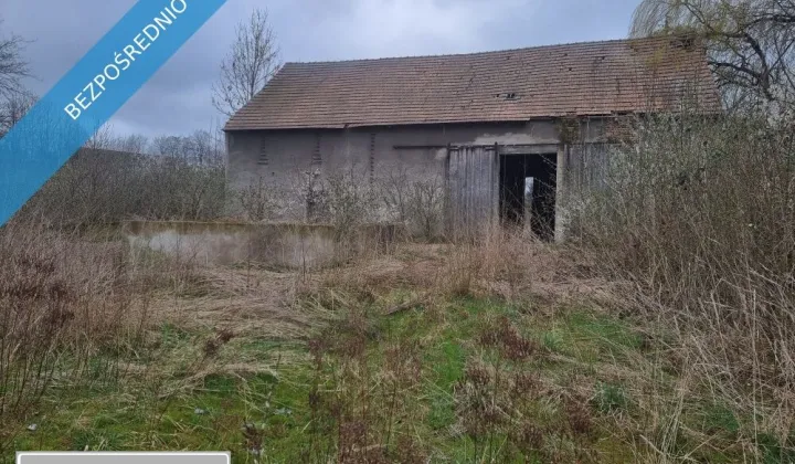 Działka siedliskowa Niedźwiednik