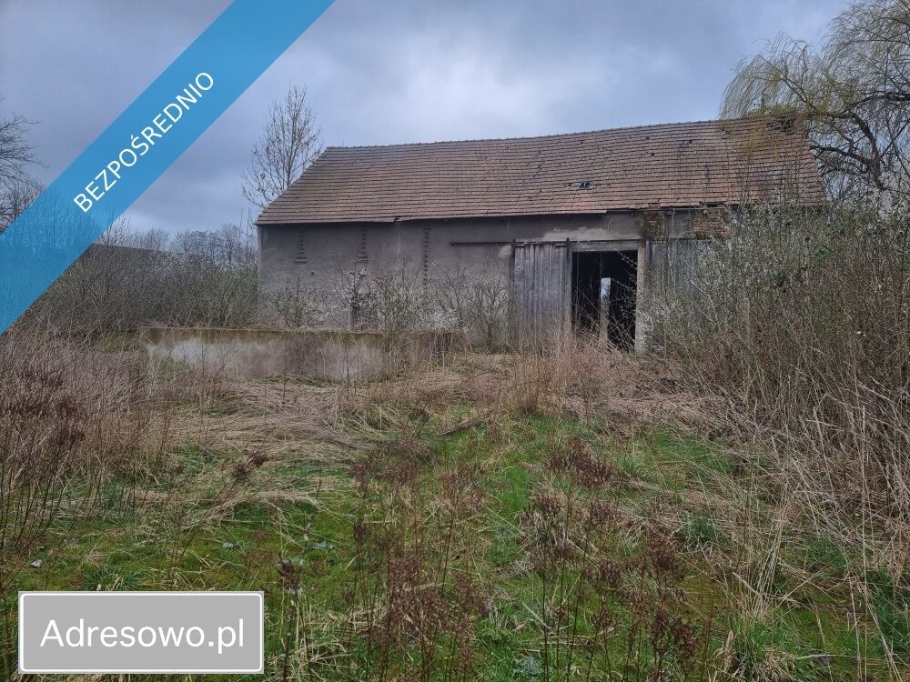 Działka siedliskowa Niedźwiednik. Zdjęcie 1