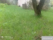 Działka rod Łódź, ul. Żeńców. Zdjęcie 1