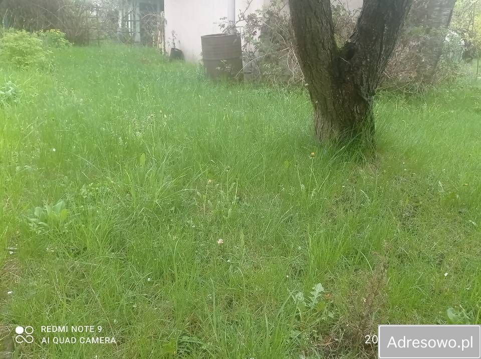 Działka rod Łódź, ul. Żeńców. Zdjęcie 2