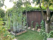 Działka rod Racibórz, ul. Opawska. Zdjęcie 2