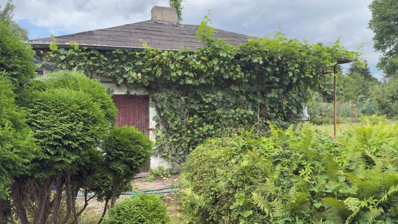 Działka rod Brodnica, ul. Paderewskiego. Zdjęcie 6