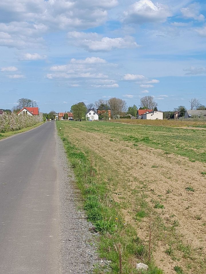 Działka rolno-budowlana Stary Zambrzyków. Zdjęcie 3