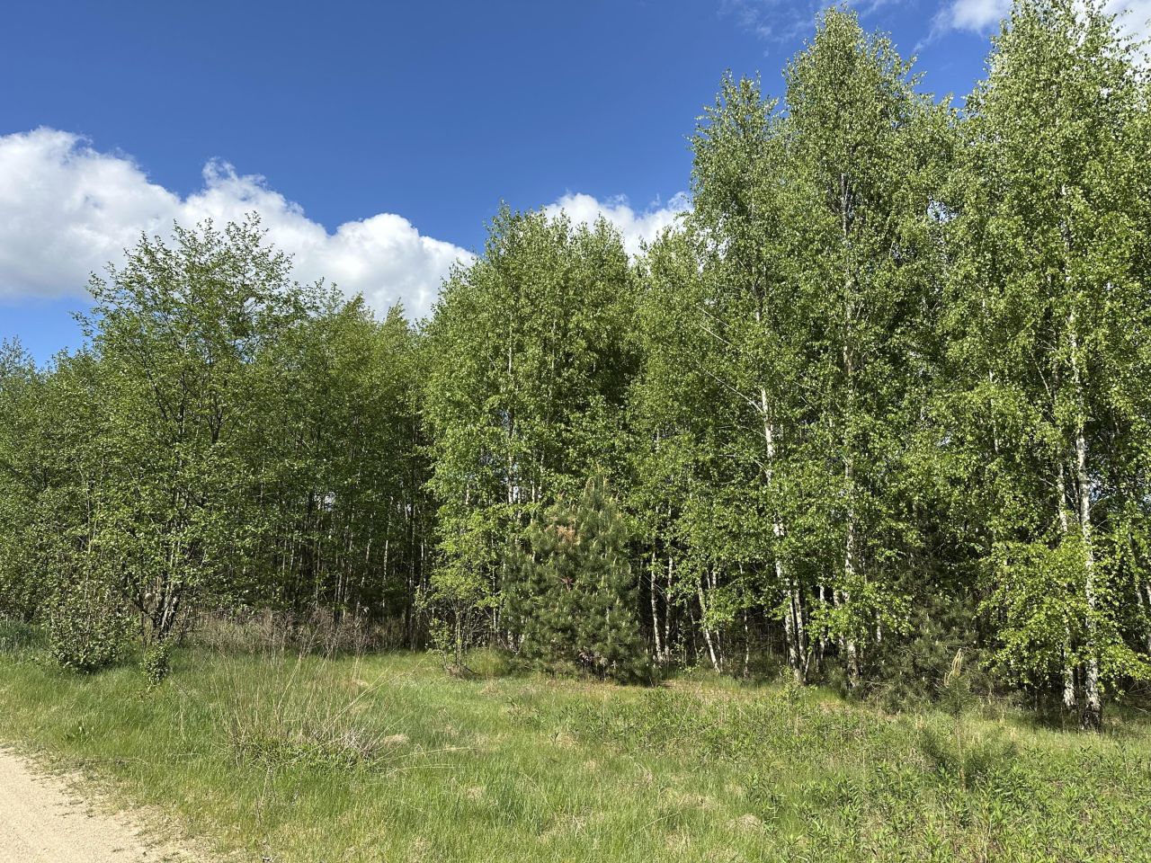 Działka budowlana Żeliszew Duży. Zdjęcie 6