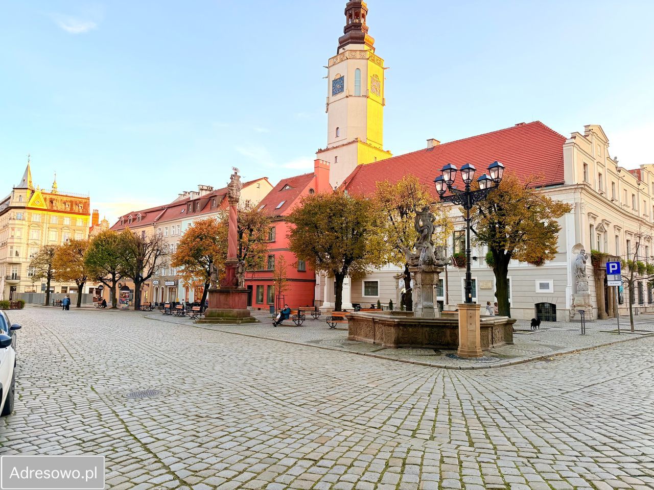 Lokal Świdnica Centrum, rynek Rynek. Zdjęcie 4