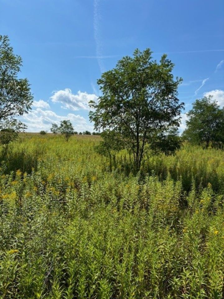 Działka inna Ruda Śląska. Zdjęcie 3