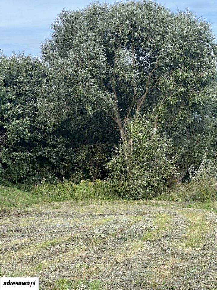 Działka budowlana Ochojno, ul. Lwowska. Zdjęcie 12