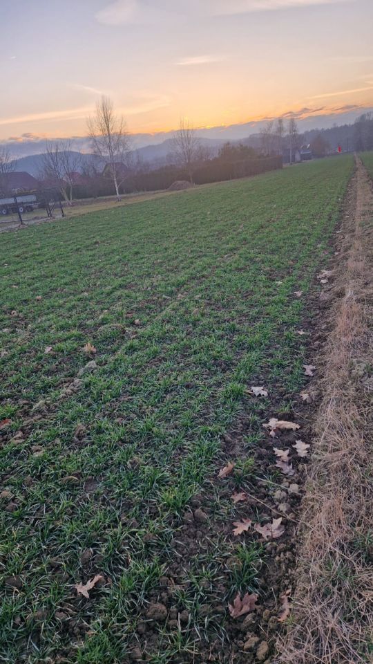 Działka rolno-budowlana Jurków Szotówka. Zdjęcie 2