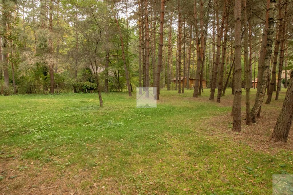 Działka rekreacyjna Radawa. Zdjęcie 15