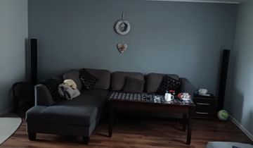 dom wolnostojący Trzciel