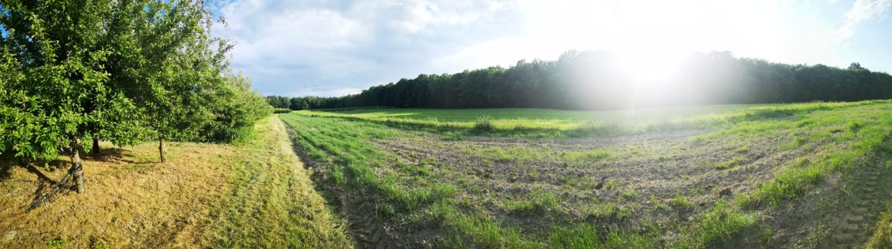 dom wolnostojący, 5 pokoi Antonówka. Zdjęcie 11