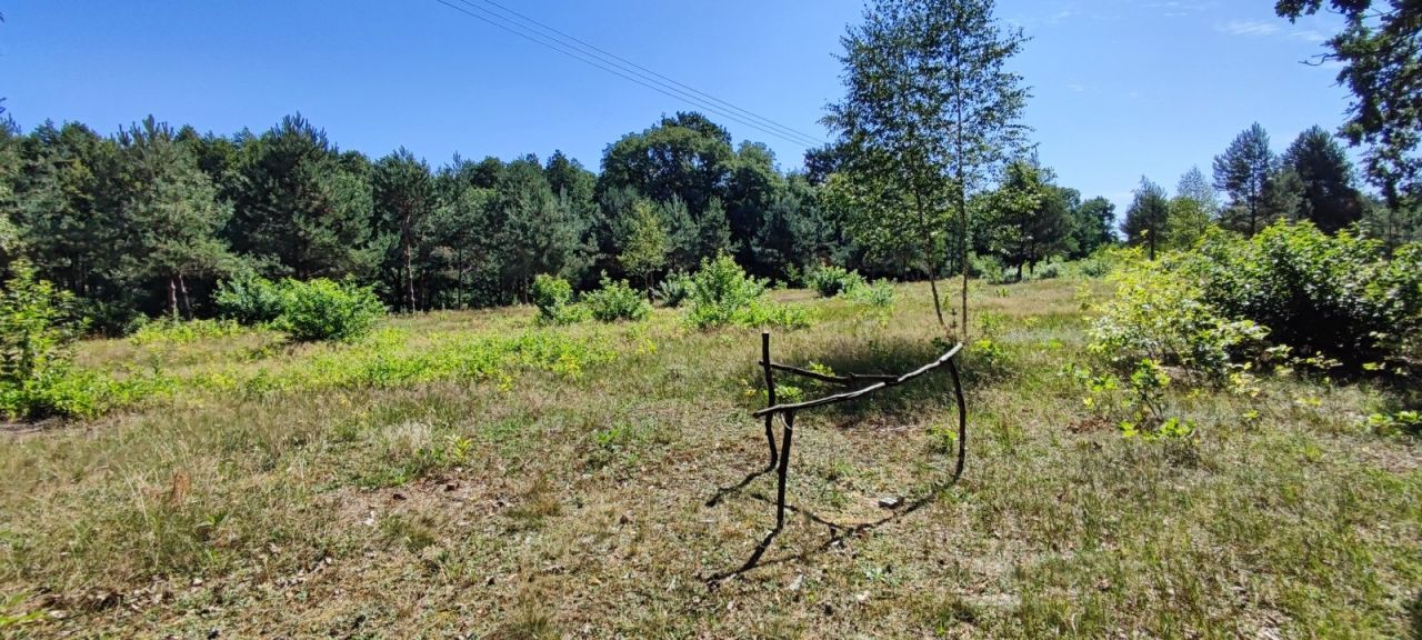 Działka budowlana Skoki. Zdjęcie 3