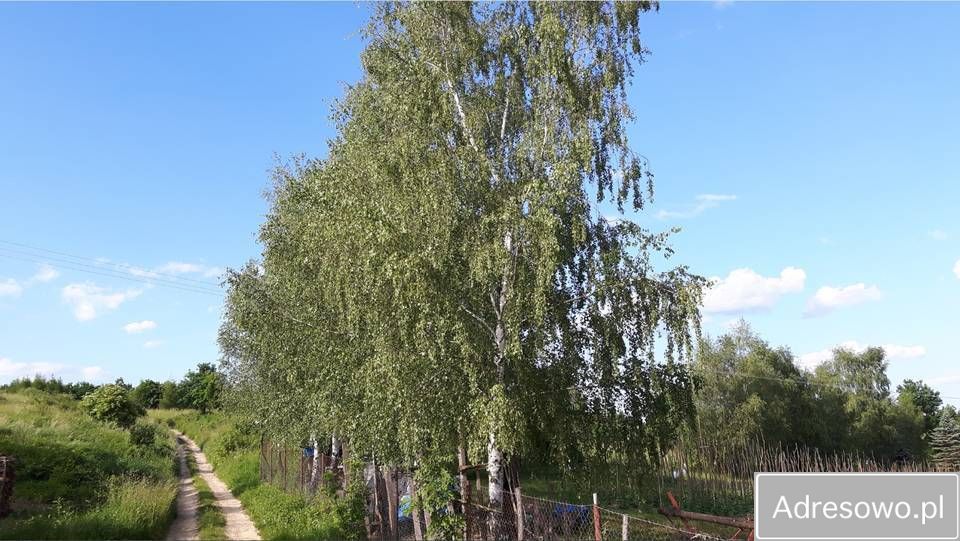 Działka budowlana Krzywcza. Zdjęcie 4