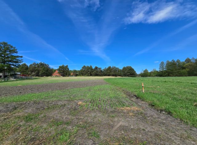 Działka rolna Drogosław. Zdjęcie 4