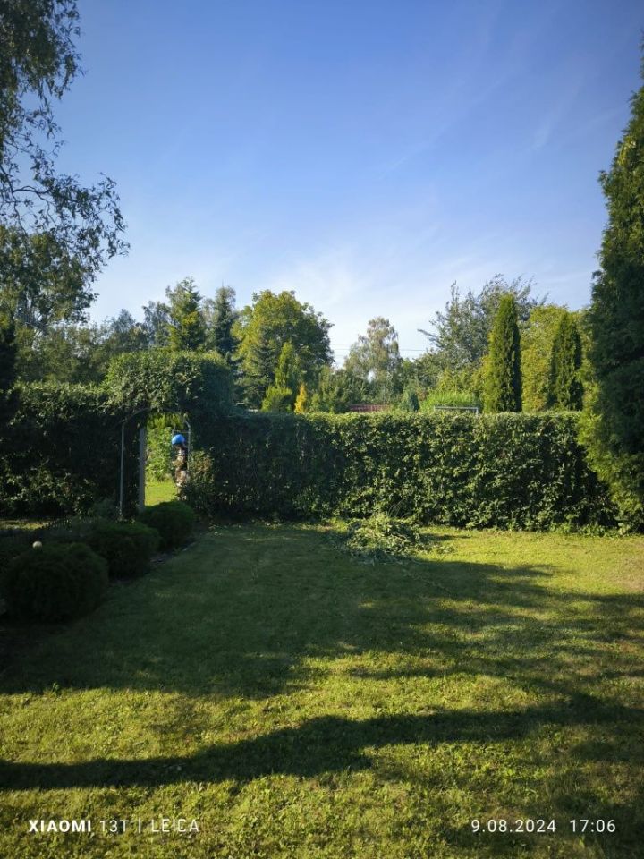 Działka rod Zabrze. Zdjęcie 2